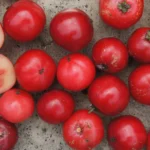 fruta com e