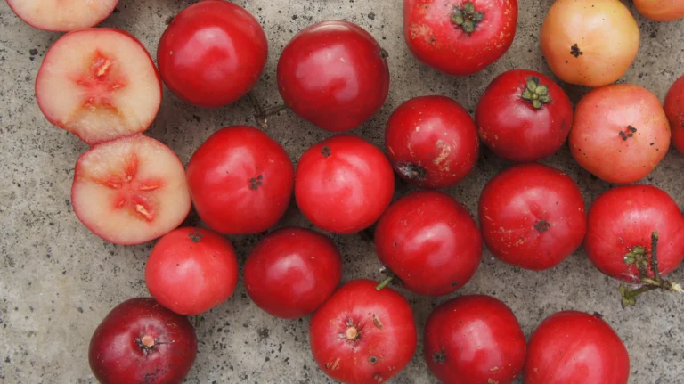fruta com e